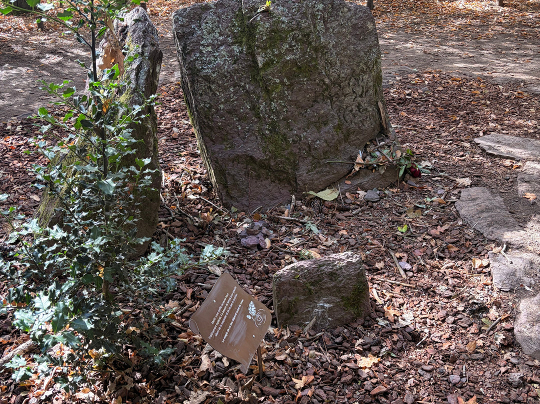 Broceliande, La Porte Des Secrets-Paimpont必去景点