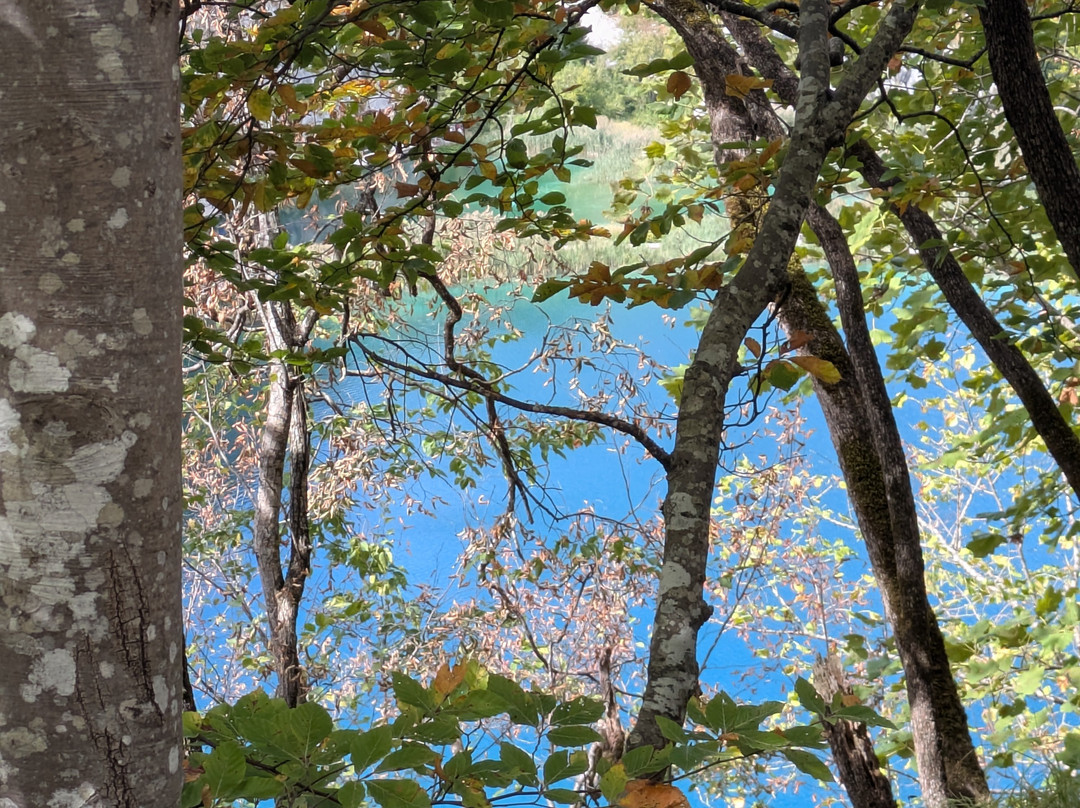 Plitvice Travel-十六湖必去景点