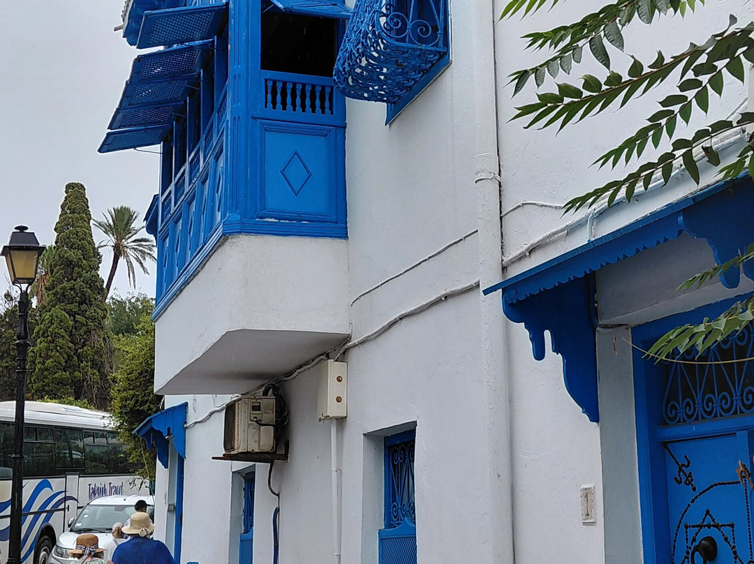 Mosquée De Sidi Bou Said-蓝白小镇必去景点