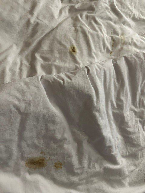 佩奎特湖美吟温德姆酒店-旅行者