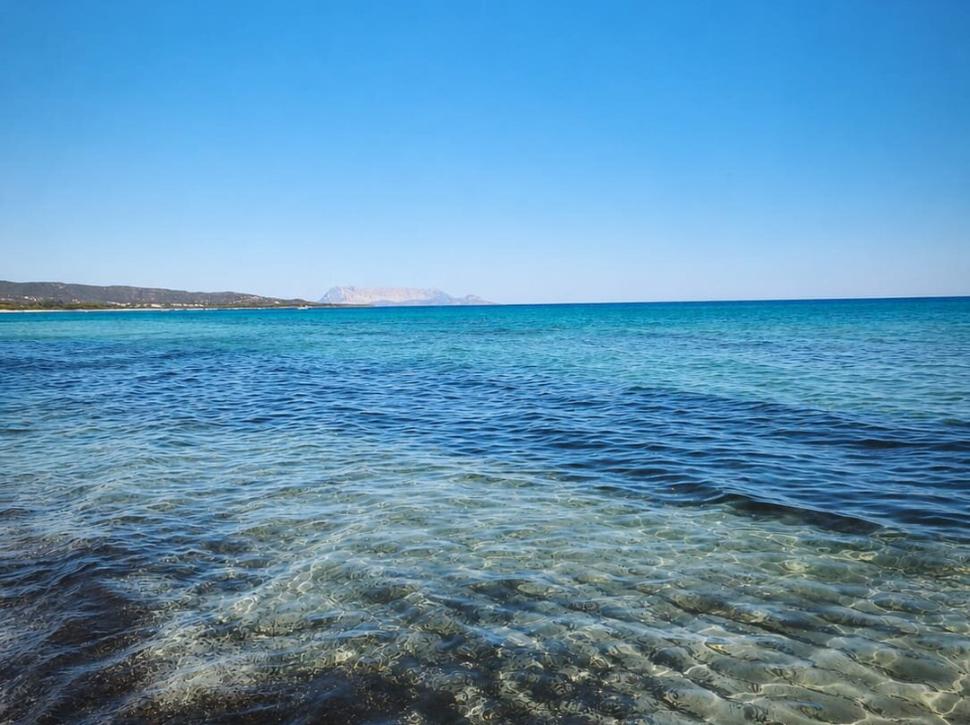 Villaggio Baia Dei Pini主图
