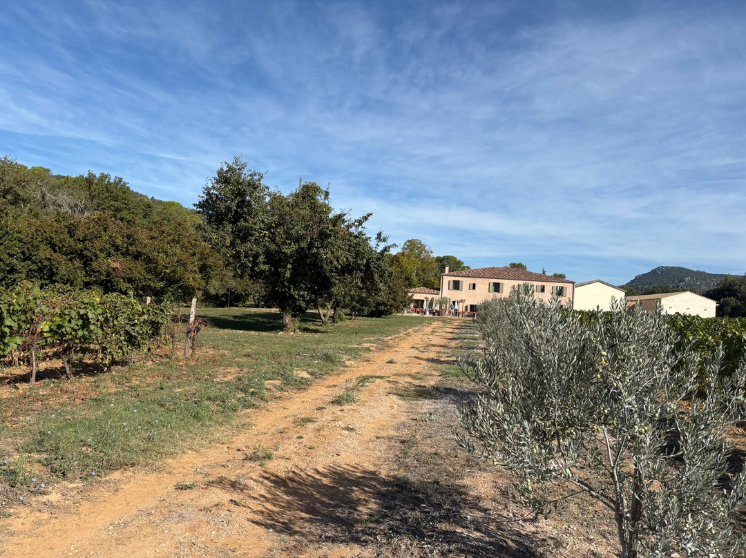 Domaine Du Baguier
