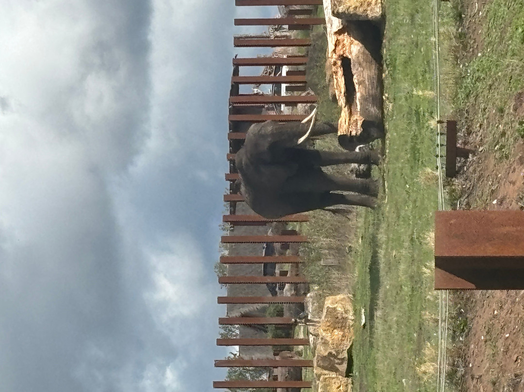 West Midlands Safari Park-Bewdley必去景点