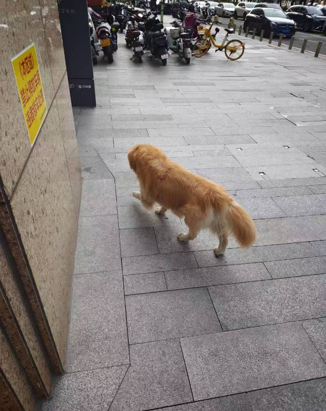 佛山南海瞻云酒店(千灯湖店)主图