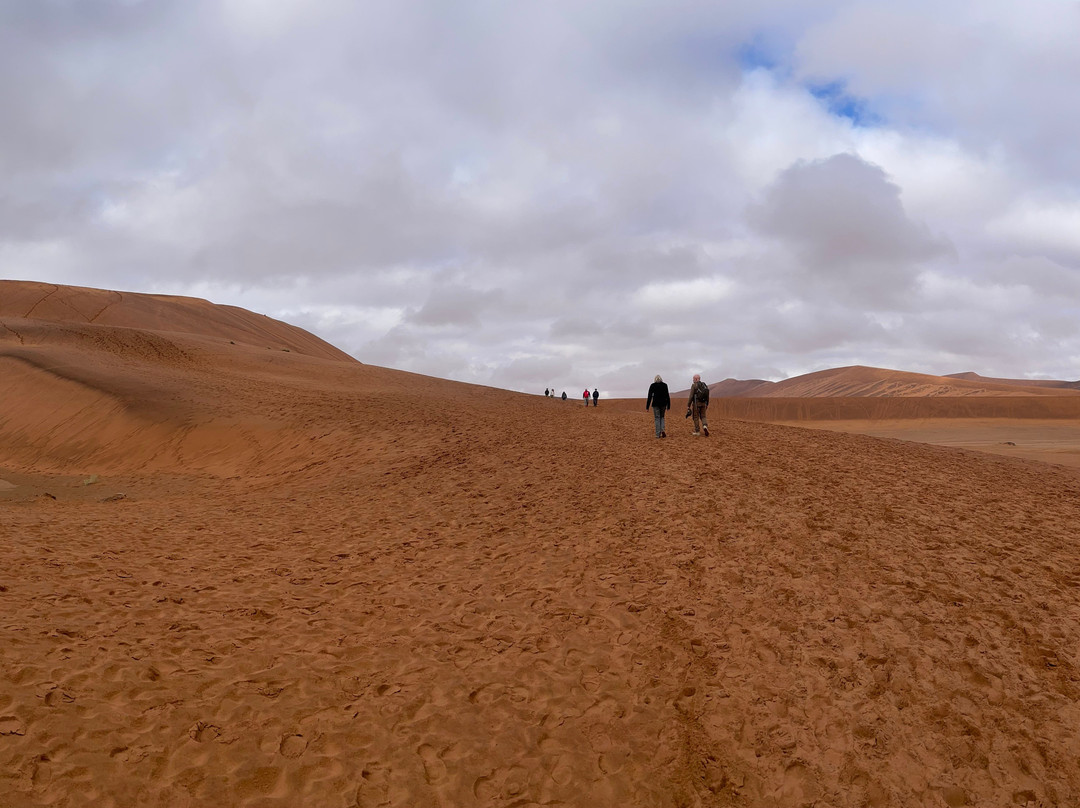 Namib Desert-苏丝斯黎必去景点