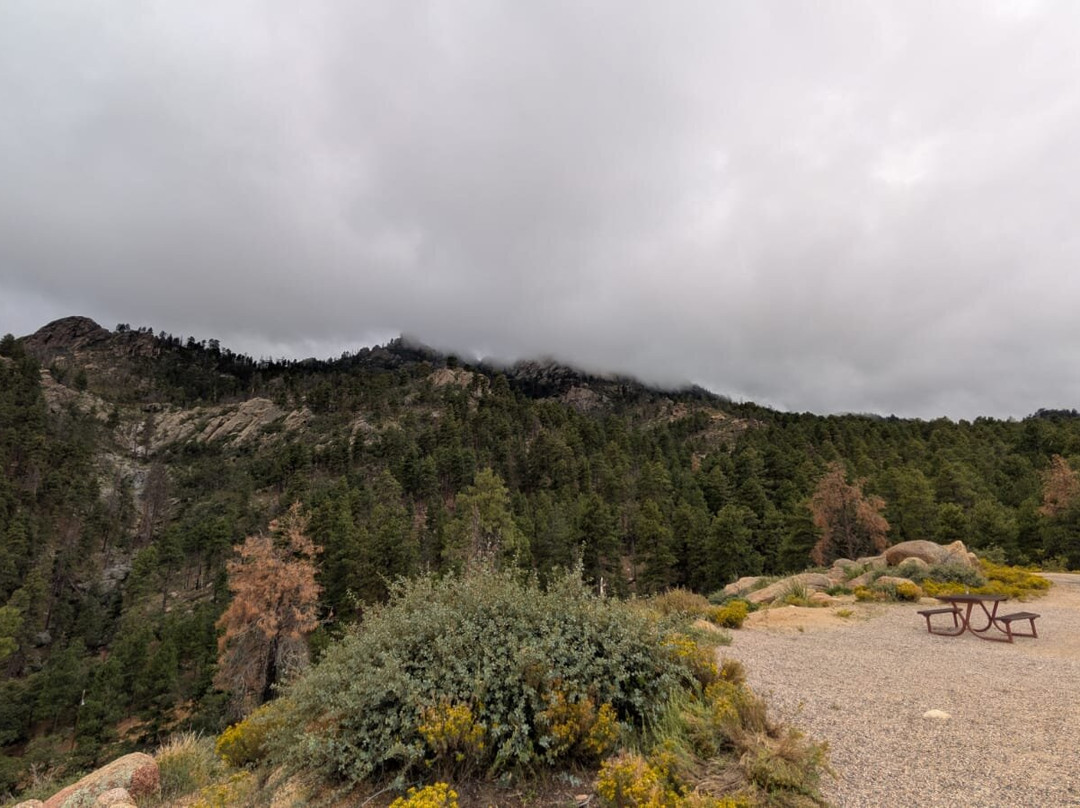 Hualapai Mountain Park-金曼必去景点