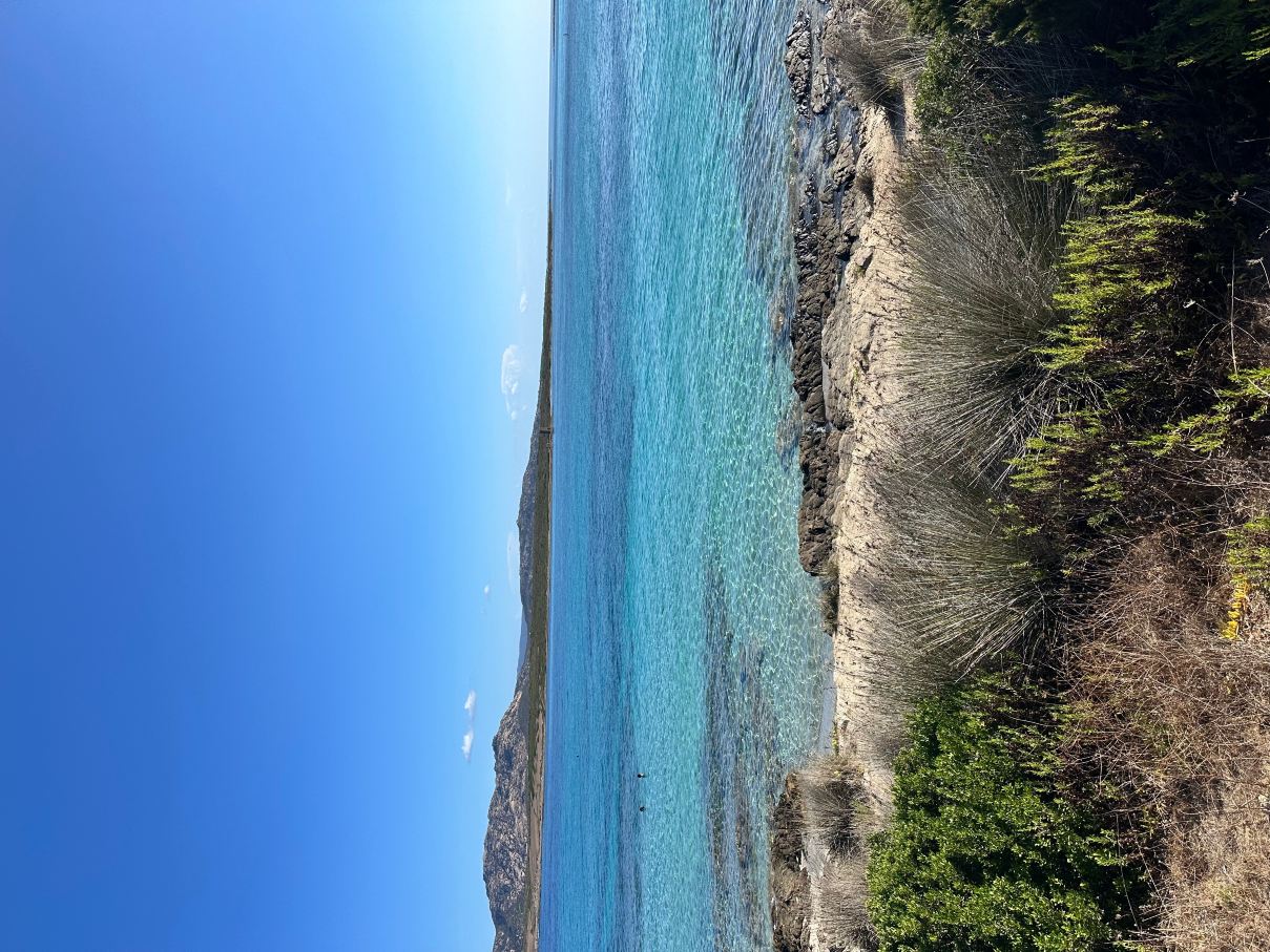 埃塞罗卡鲁哈俱乐部酒店-旅行者