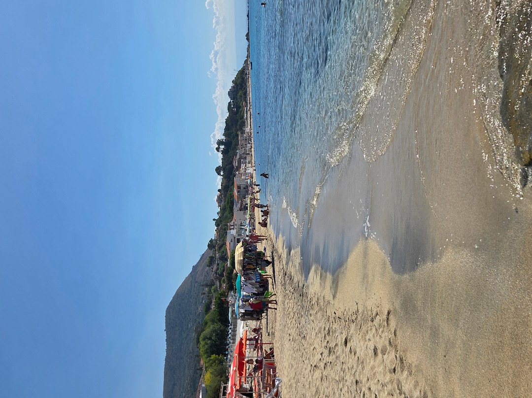 Hotel Villaggio Pineta Petto Bianco主图