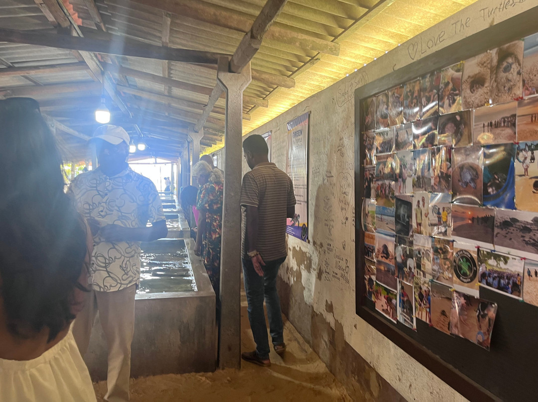 Kosgoda Sea Turtle Conservation Project-科斯戈德必去景点