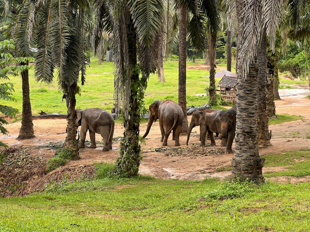 Krabi Elephant House Sanctuary-Sai Thai必去景点