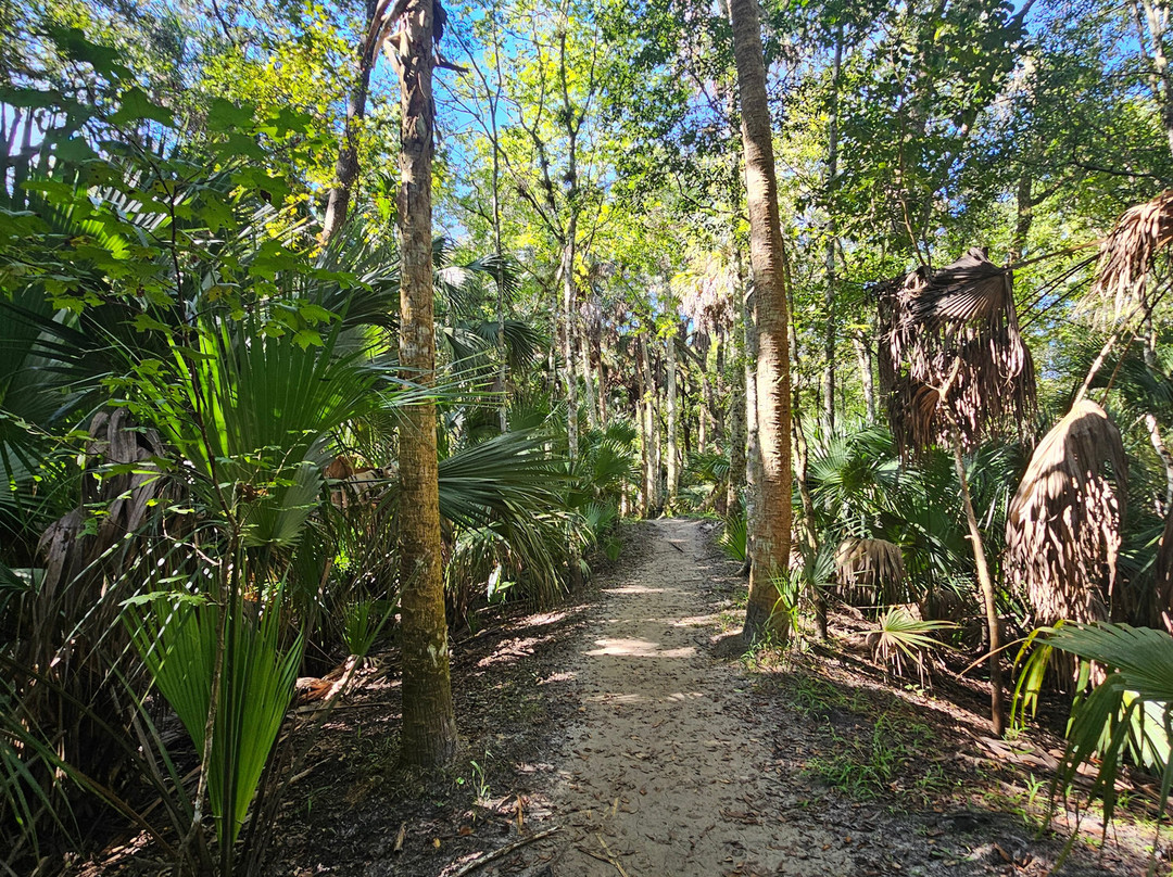 Black Bear Wilderness Area-桑福德必去景点