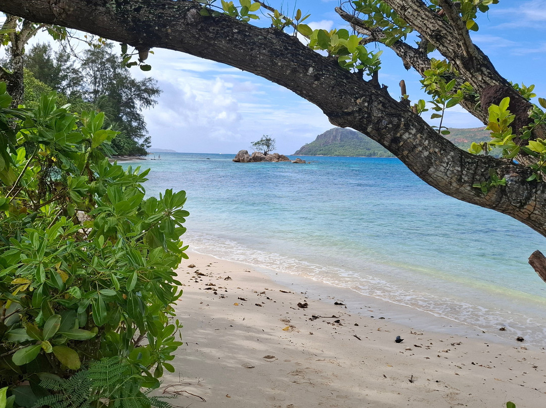 Edelweiss Tours, Seychellen-普拉兰岛必去景点