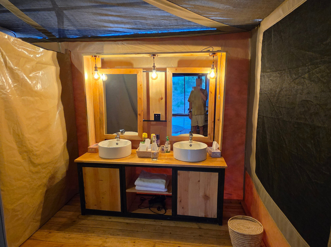 Friends Camps and Lodge-Seronera必去景点