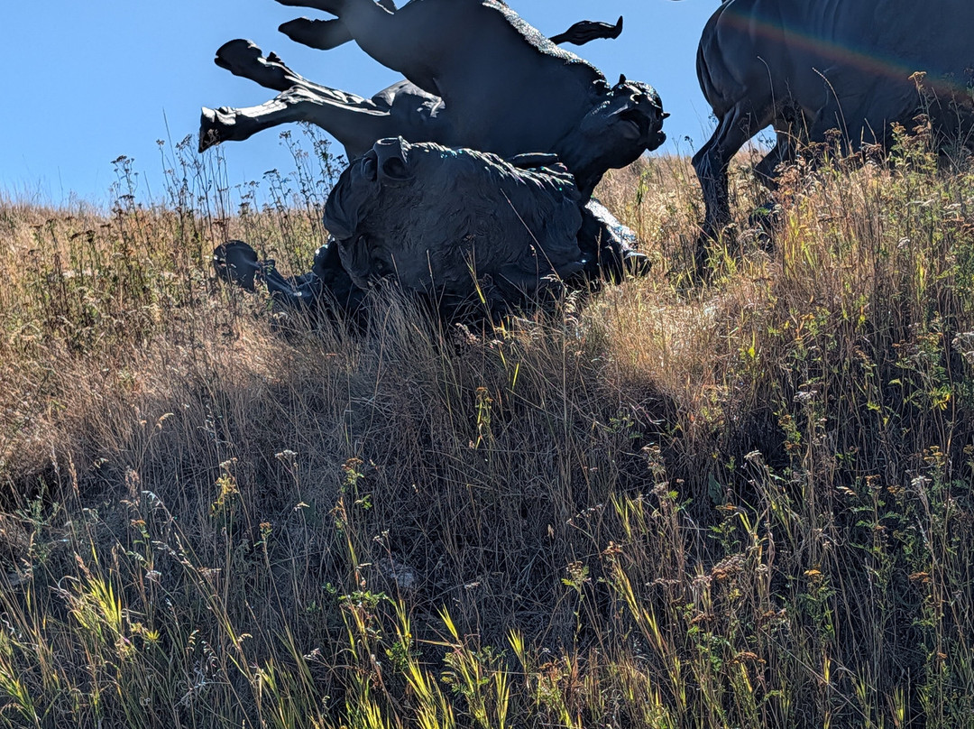 Tatanka: Story of the Bison-戴德伍德必去景点