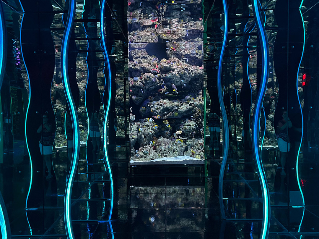 Aquarium At The Boardwalk-布兰森必去景点