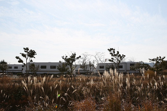 Taepyeong Yeomsaeng Botanical Garden