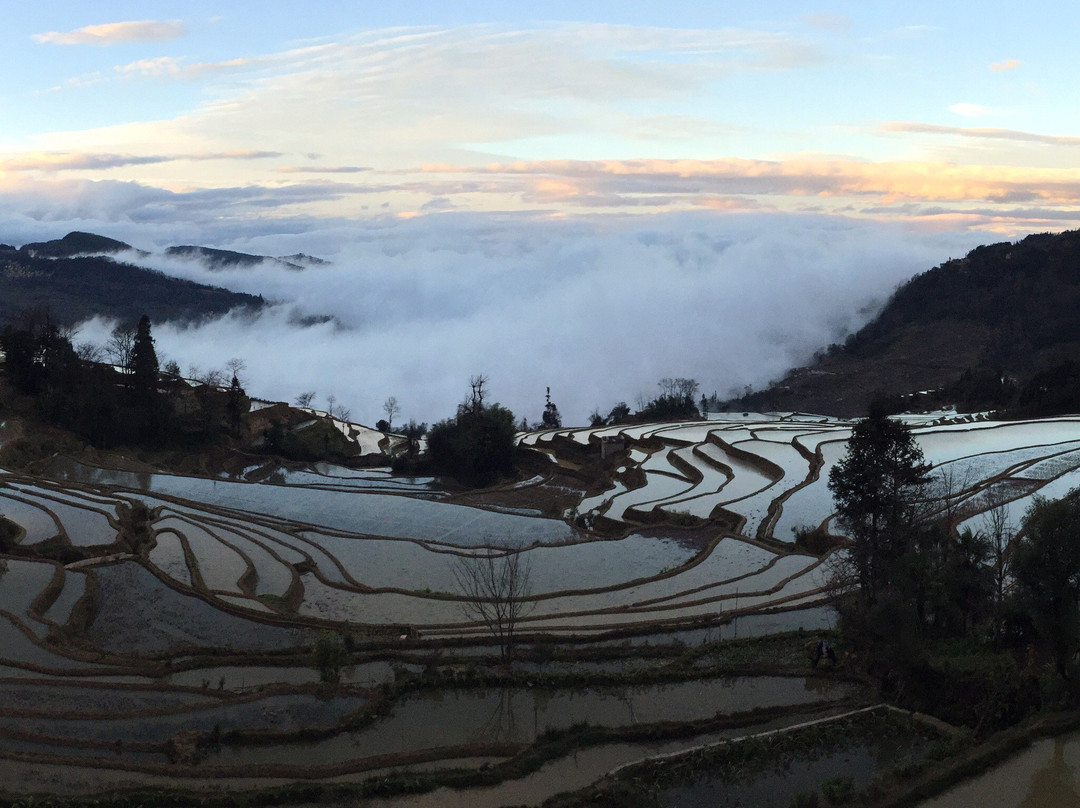 元阳县旅游攻略图片