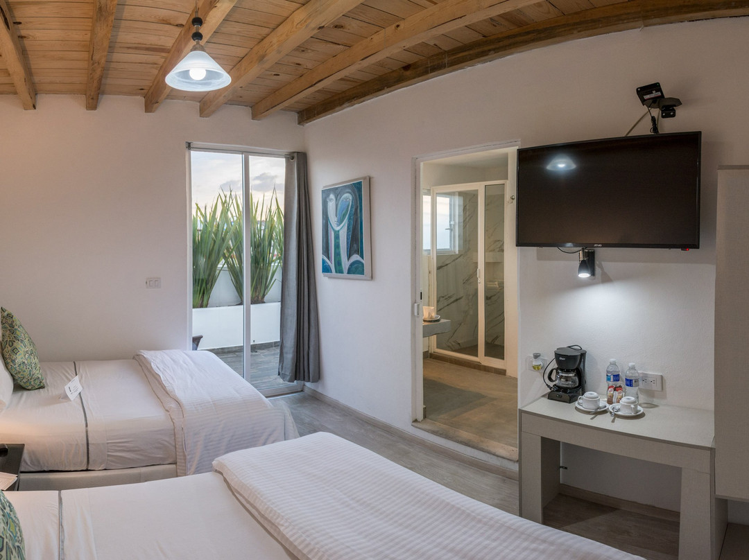 M Hoteles Concepto Morelia