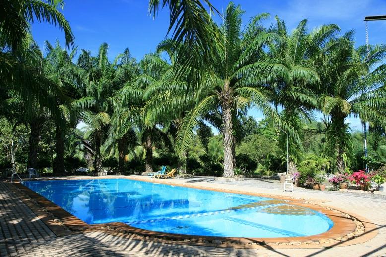 Phatad Valley Hotel-泳池