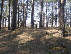 Gnyozdovo Historical Archeological and Natural Museum Reserve景点图片