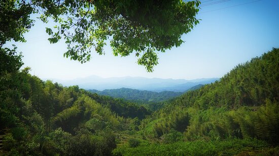 大围山国家森林公园景点图片