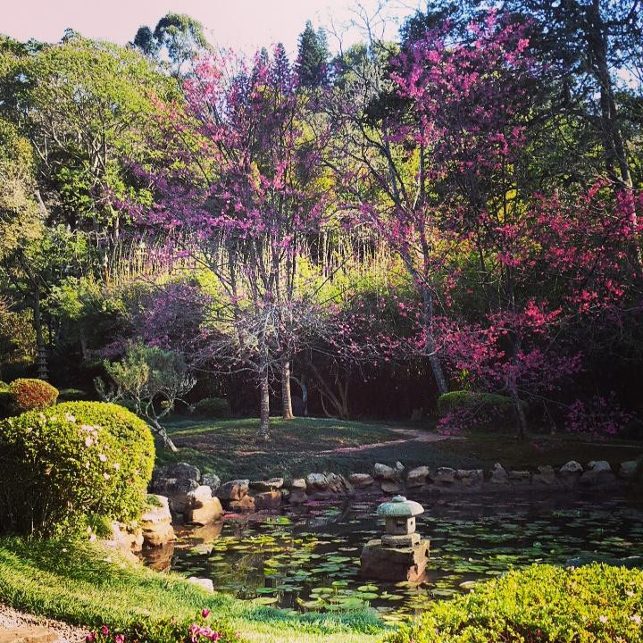 Makaranga Botanical Garden景点图片