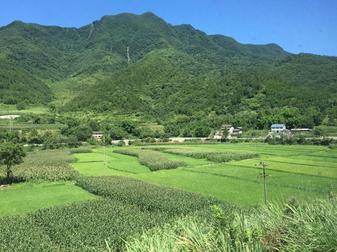 凝祥寺商业街景点图片