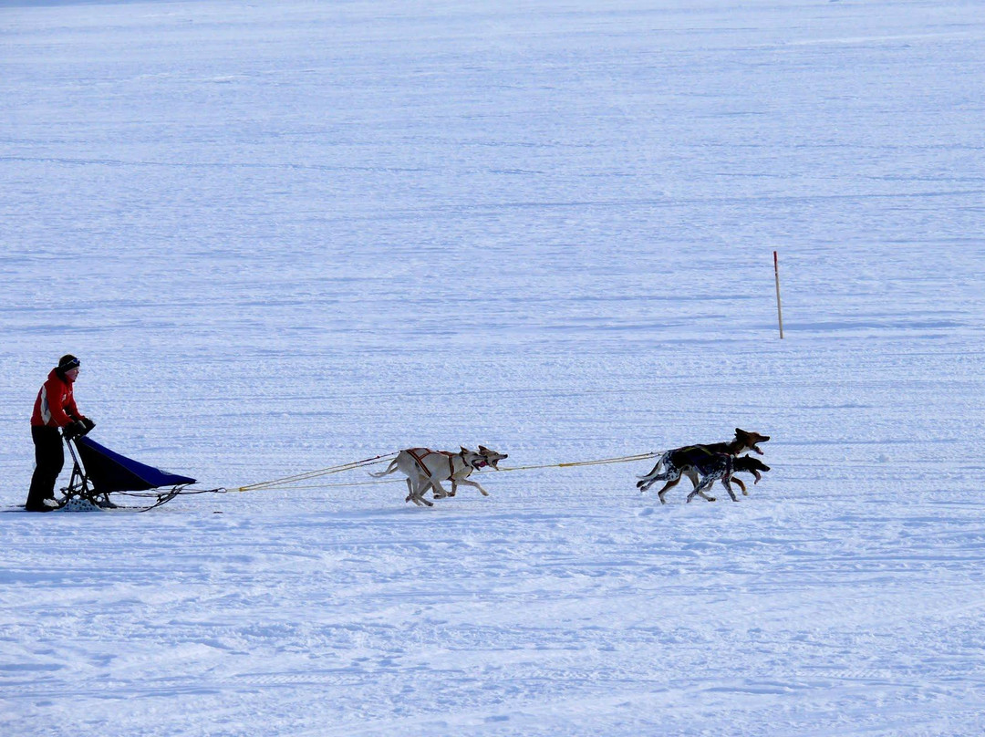 Ice Driving-Jukkasjarvi必去景点