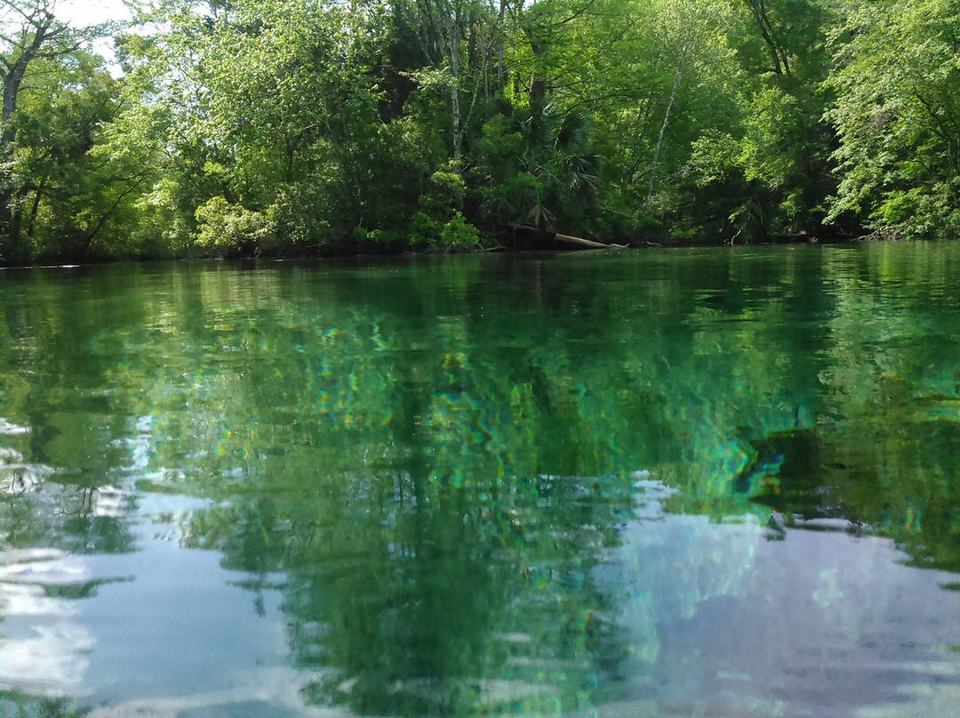 Econfina Canoe Livery景点图片
