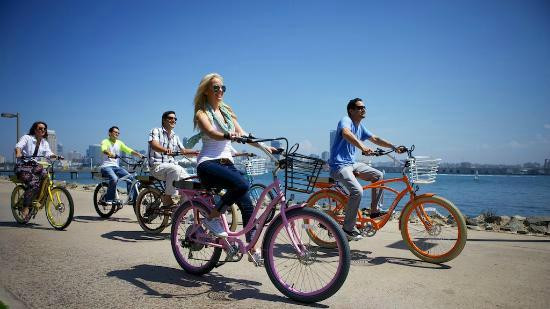 Happy Tour Camargue-艾格莫尔特必去景点