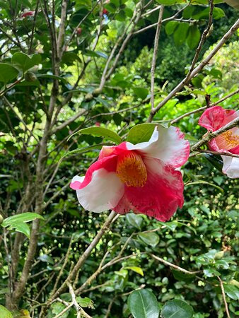 La Vallée Heureuse-Le Brule必去景点