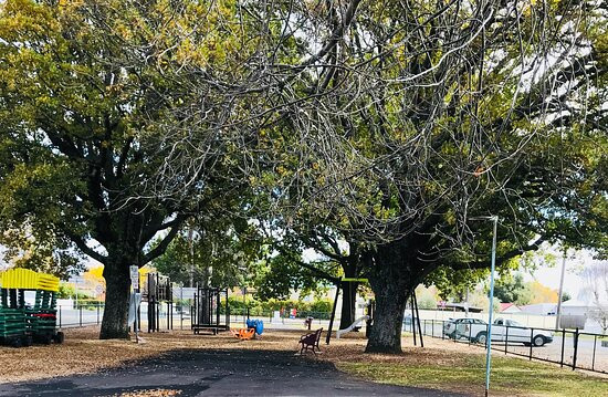 Jean Haynes Playground-凯尼顿必去景点