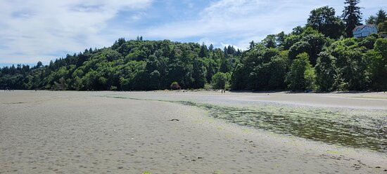 Dash Point State Park景点图片