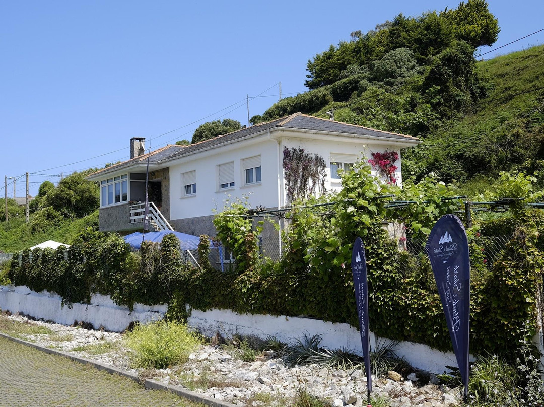 Black Shark Surfhouse