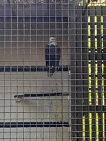 Brukner Nature Center-Troy必去景点