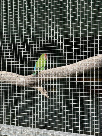 Fauna Park-Warracknabeal必去景点