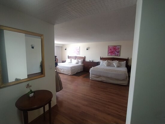 Hotel Valle de México Toreo主图