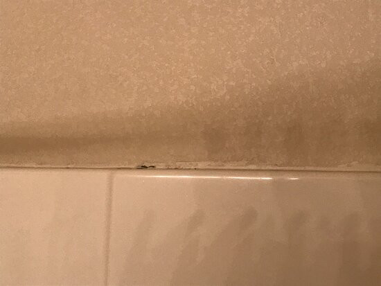 Comfort Inn & Suites Kelso - Longview主图