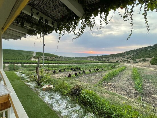 Tenuta Asinara Bistrot & Degustazione-Sorso必去景点
