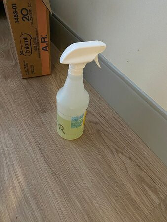 The Westin Lake Mary, Orlando North主图