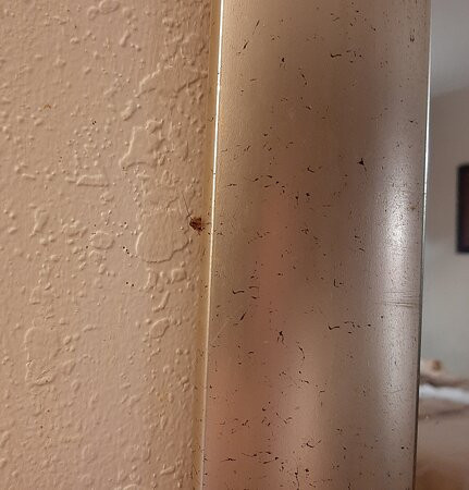 Madison Heights酒店住宿-Red Roof Inn Detroit - Royal Oak/ Madison Heights