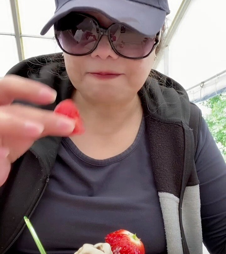 Clive's Fruit Farm-Upton upon Severn必去景点