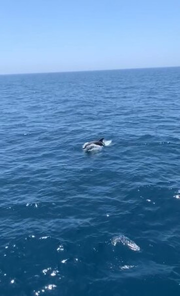 Costasol Cruceros-班纳玛德纳必去景点