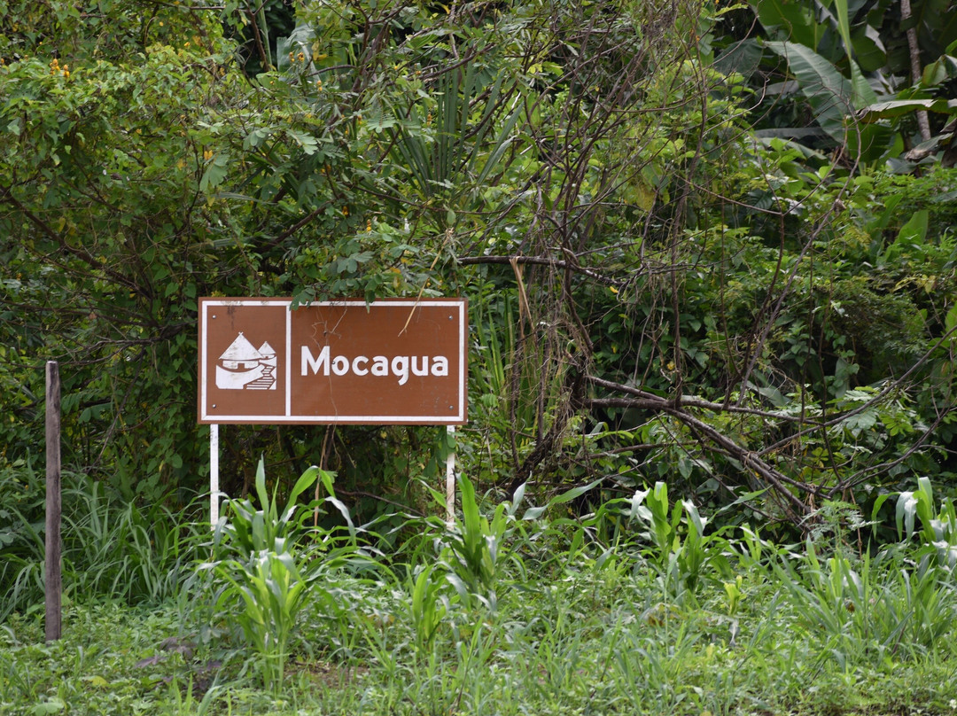 Fundación Maikuchiga景点图片