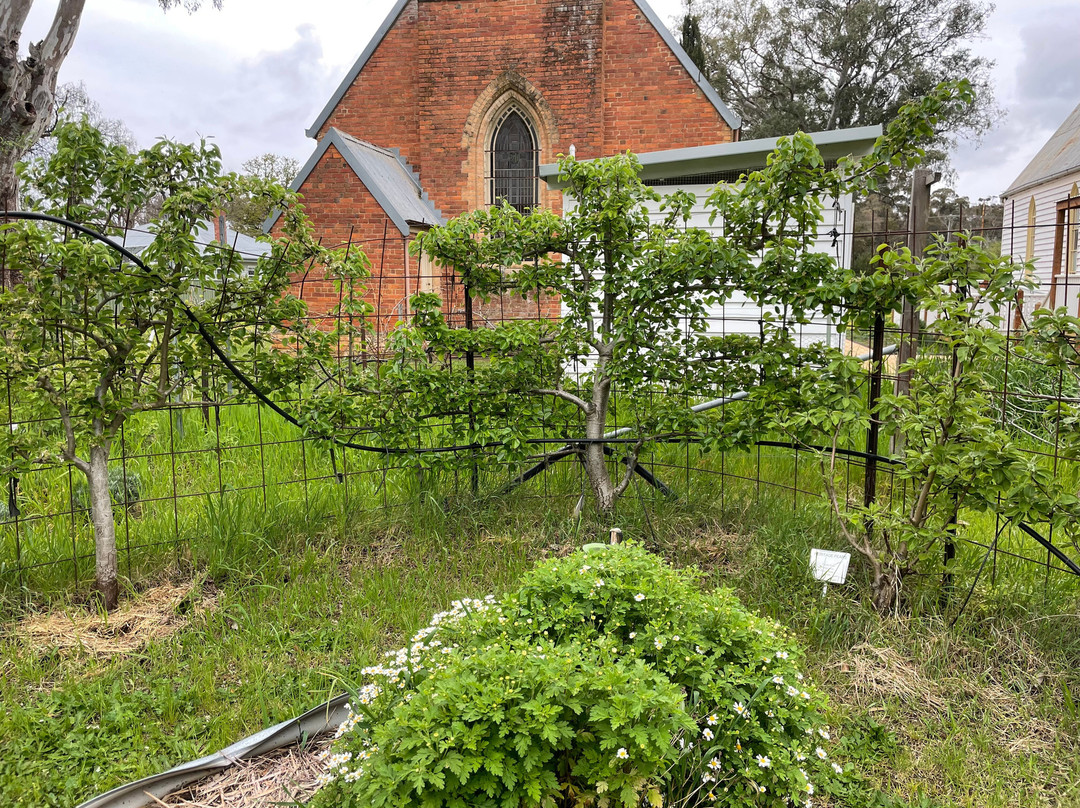 Newstead Community Garden
