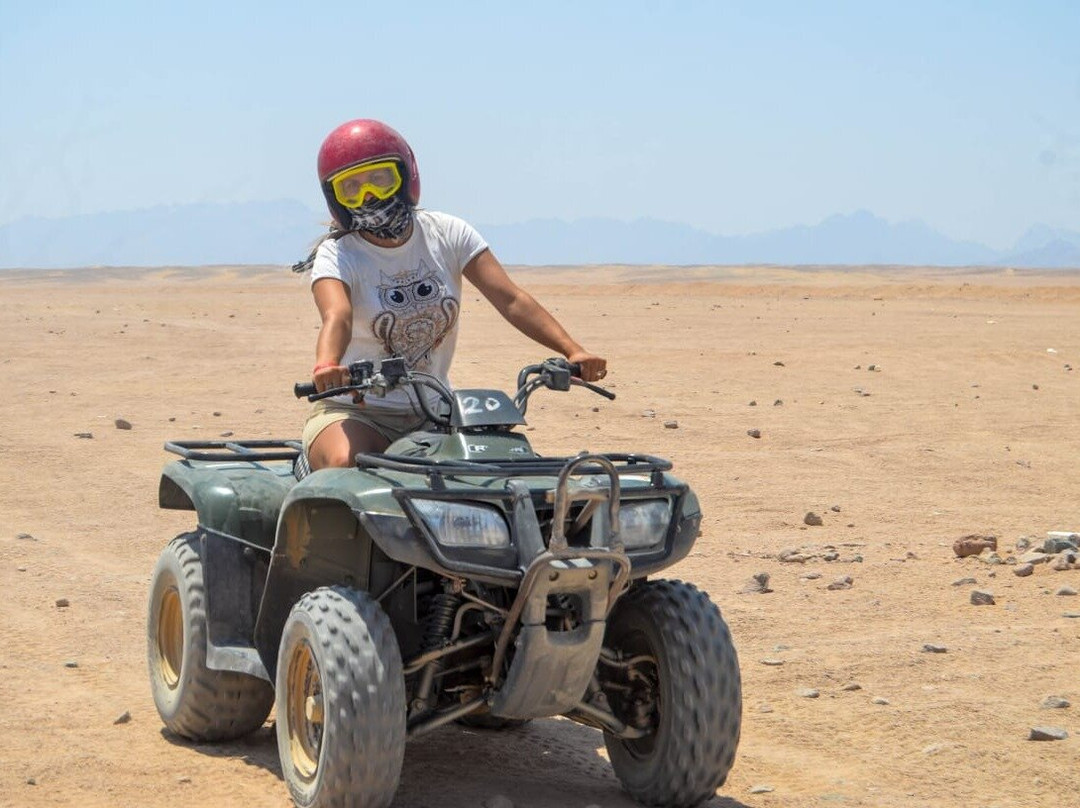 Safari Red Sea Makadi Bay-马卡迪湾必去景点