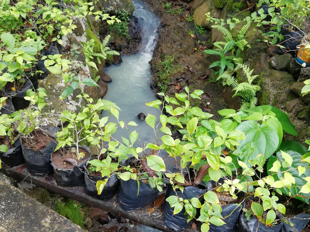 Little Bridges主图