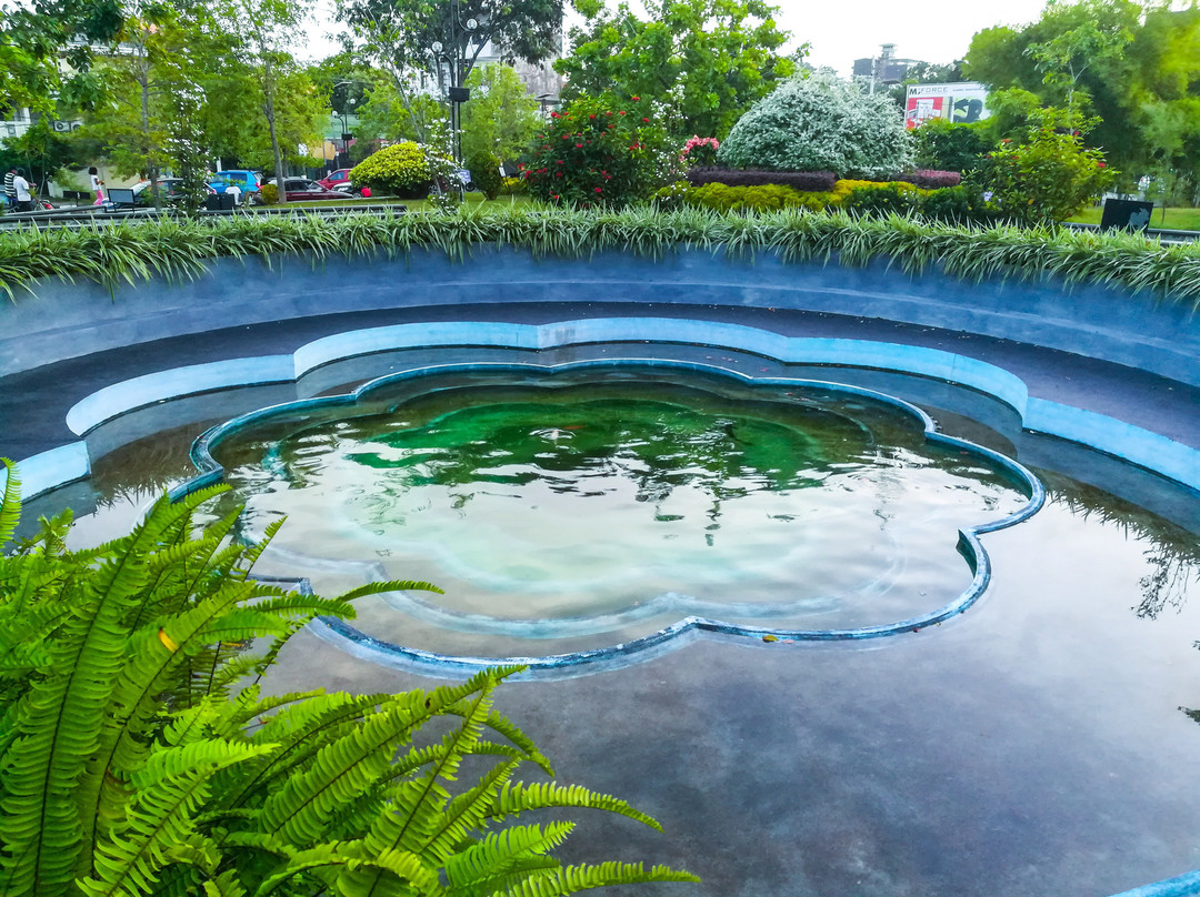 Urban Wetland Park景点图片