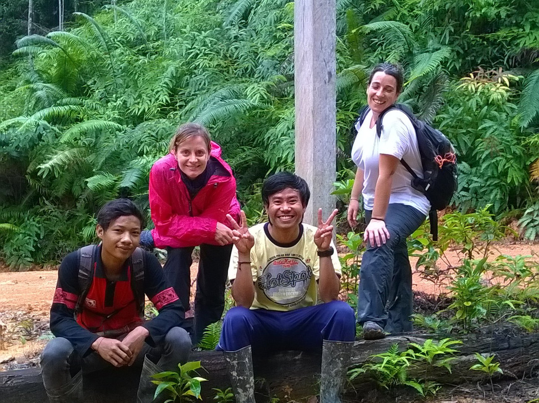 Wehea Forest-East Kalimantan必去景点