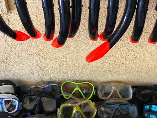 Arum Dive Pemuteran-佩母德兰必去景点